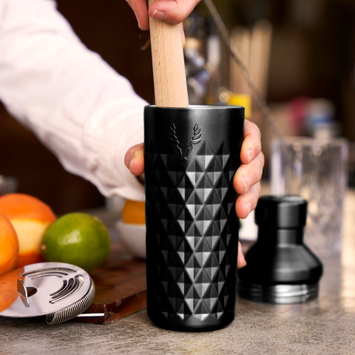Paragon Stainless Steel Cocktail Shaker in Obsidian
