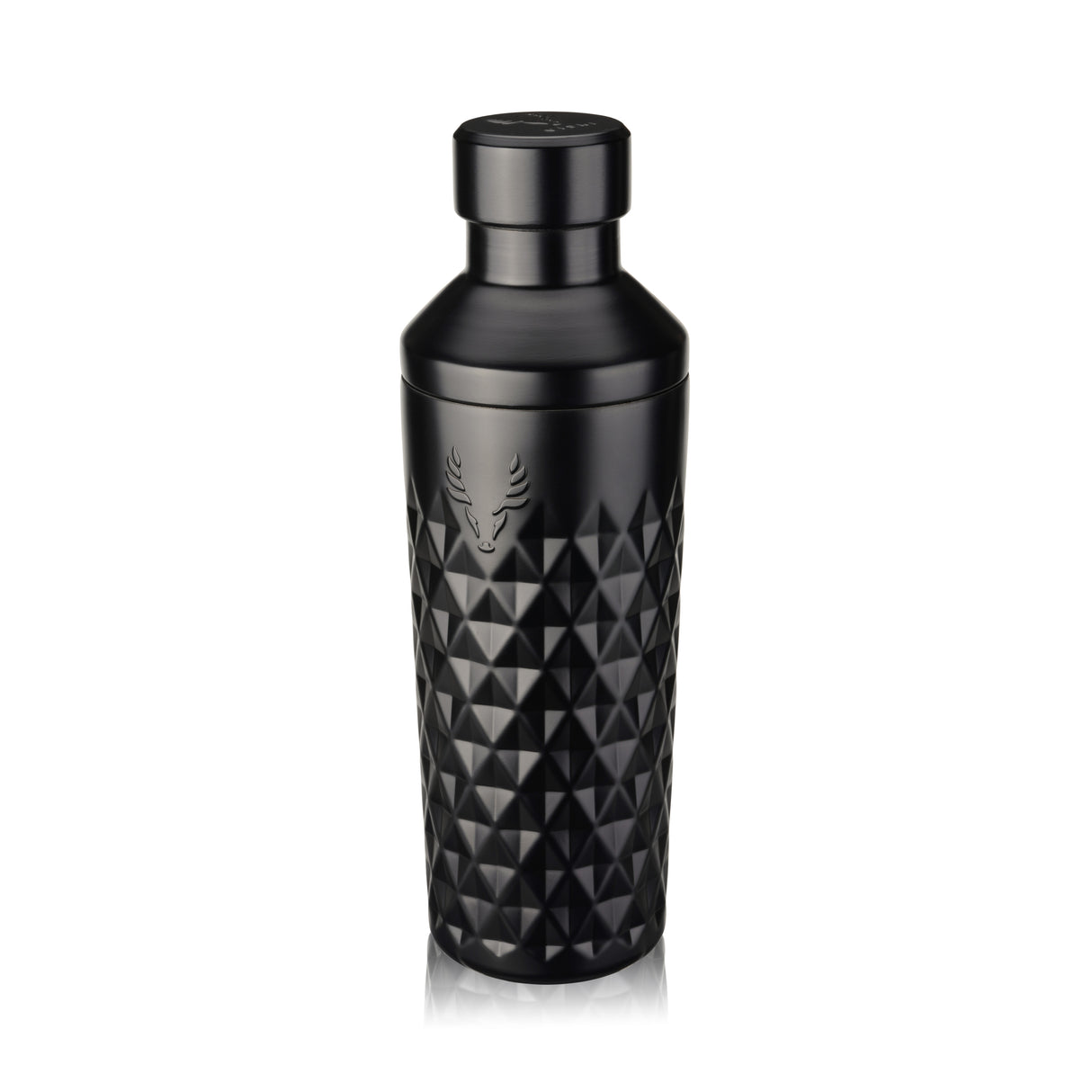 Paragon Stainless Steel Cocktail Shaker in Obsidian
