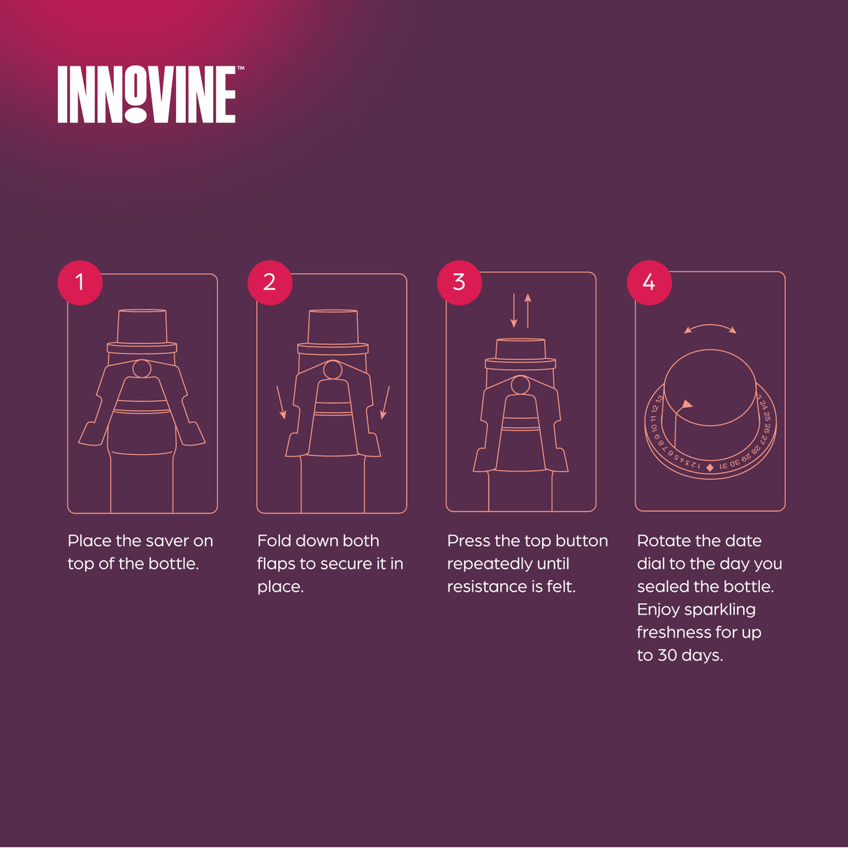 Champagne Saver in Graphite