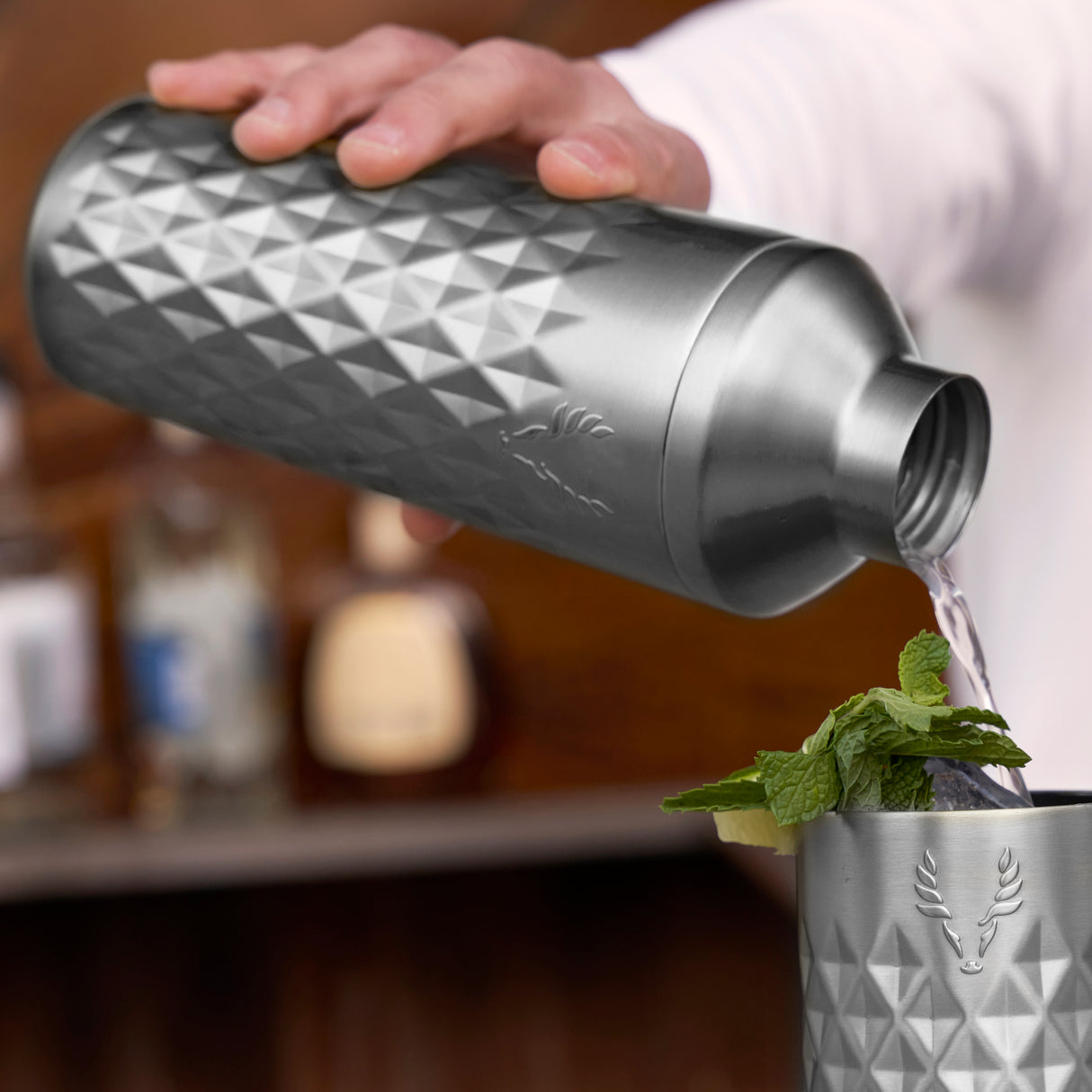 Paragon Stainless Steel Cocktail Shaker in Platinum