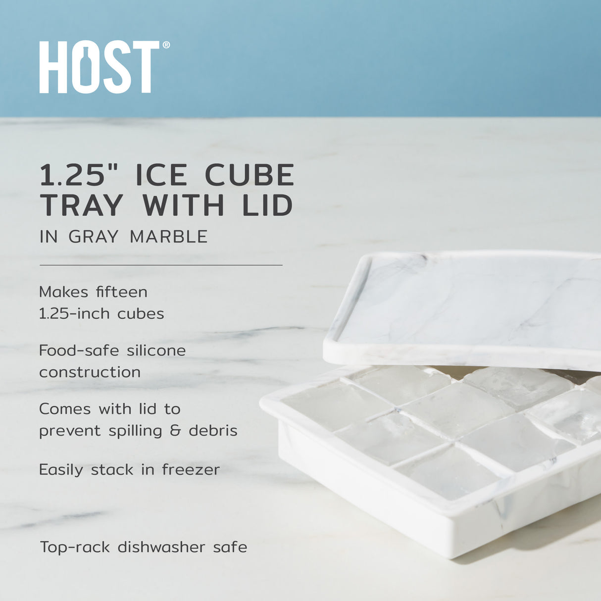 1.25" Ice Cube Tray with Lid in Gray Marble