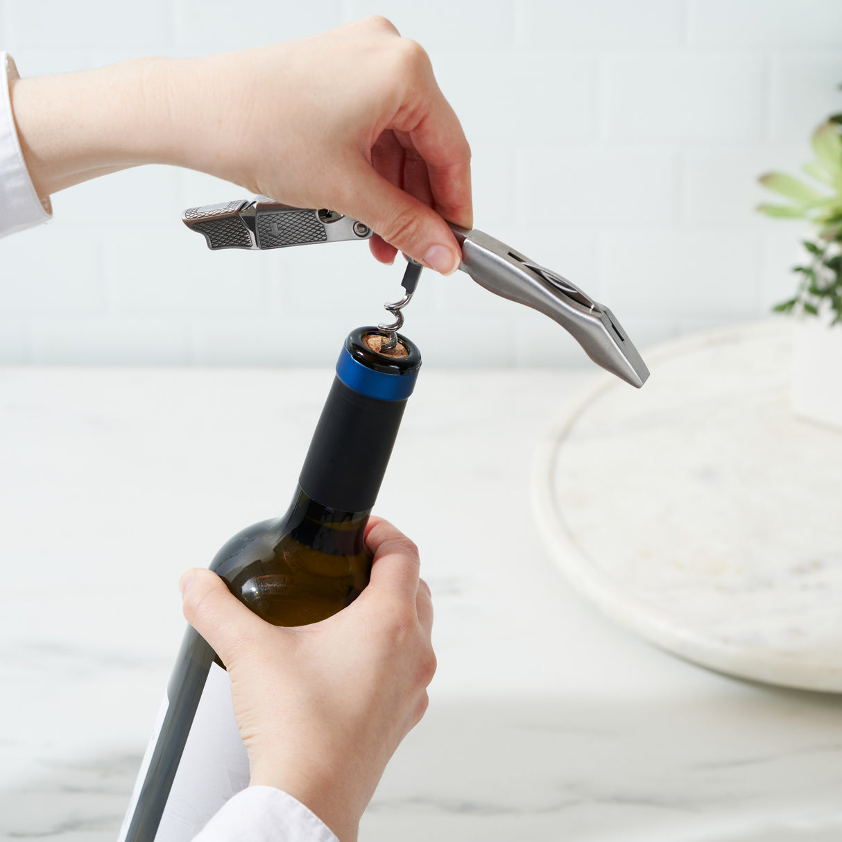 Sommelier Professional Corkscrew in Stainless Steel