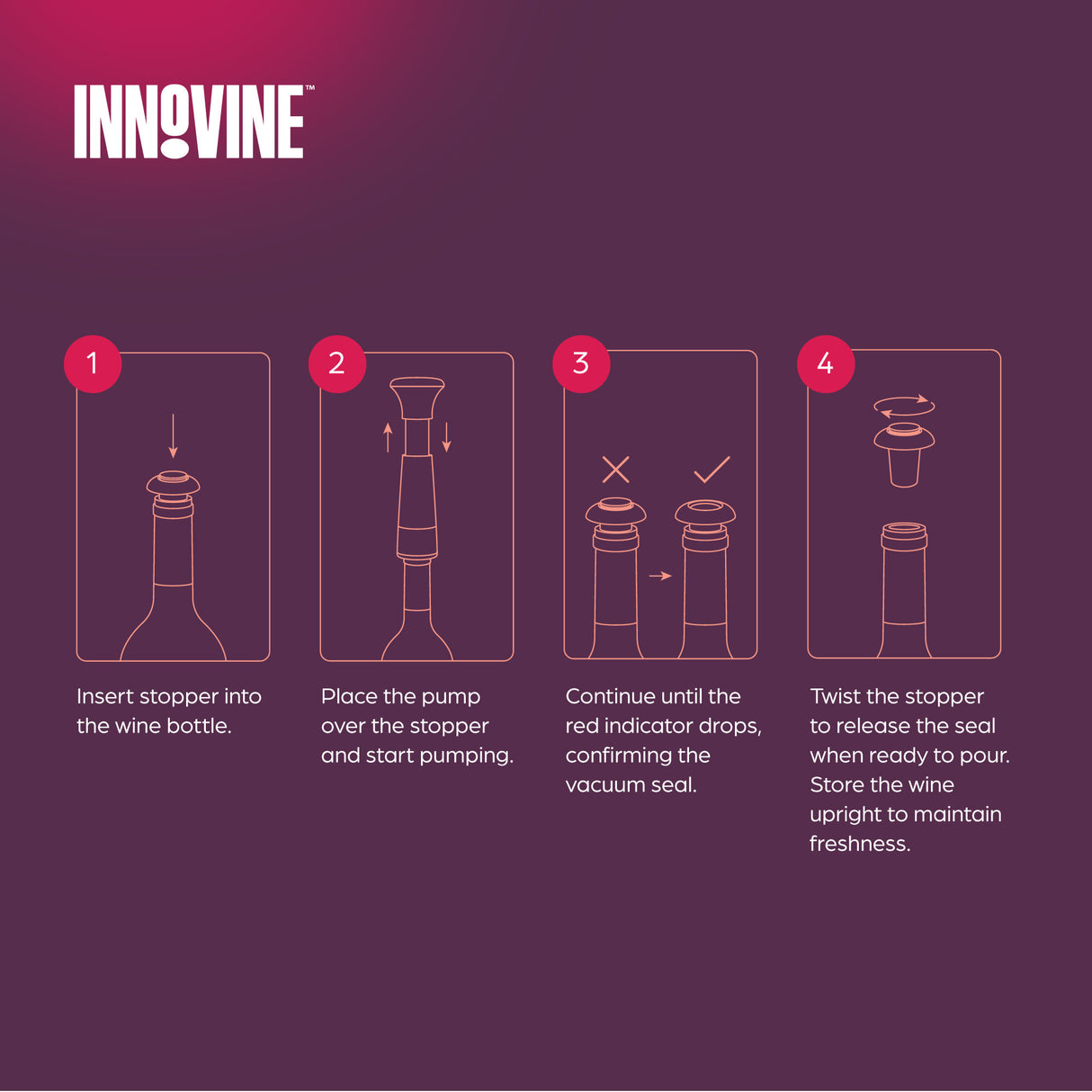 Vacuum Pump Wine Saver in Raspberry