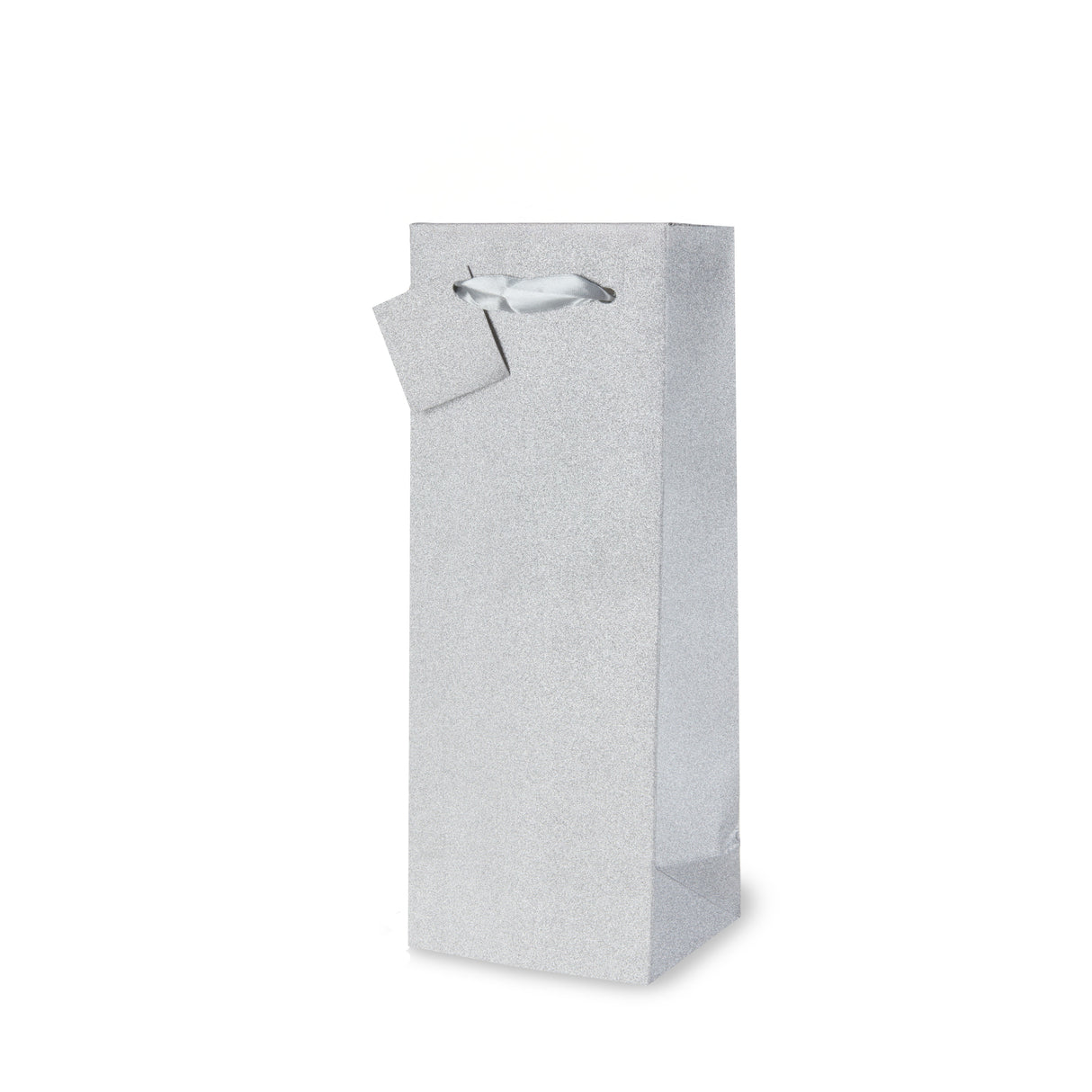 No-Mess Glitter 1.5L Bottle Bag in Silver
