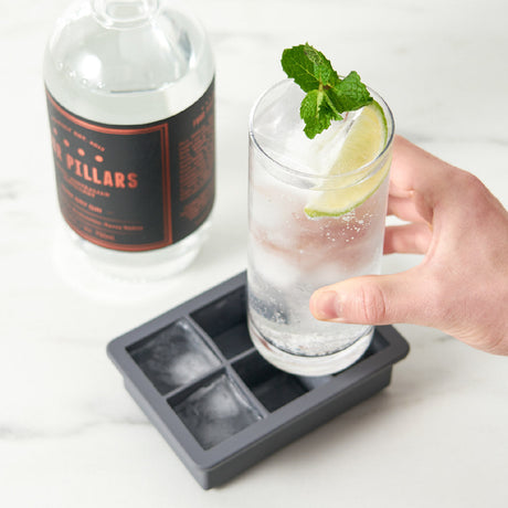 Ice Molds