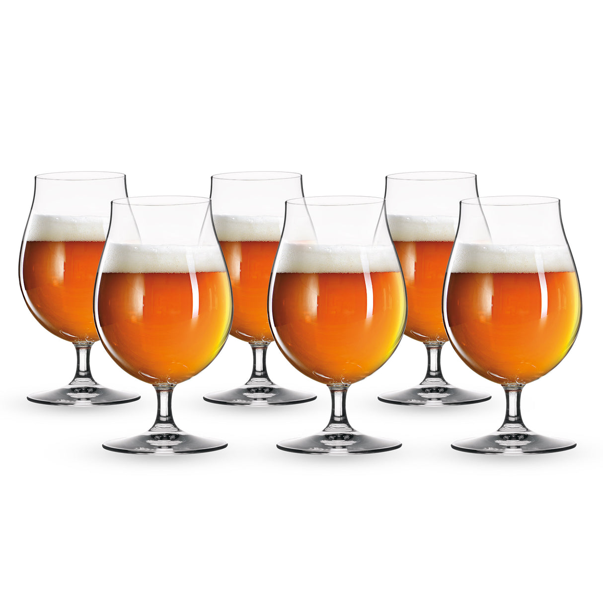 Tulip Beer Glass, Set of 6