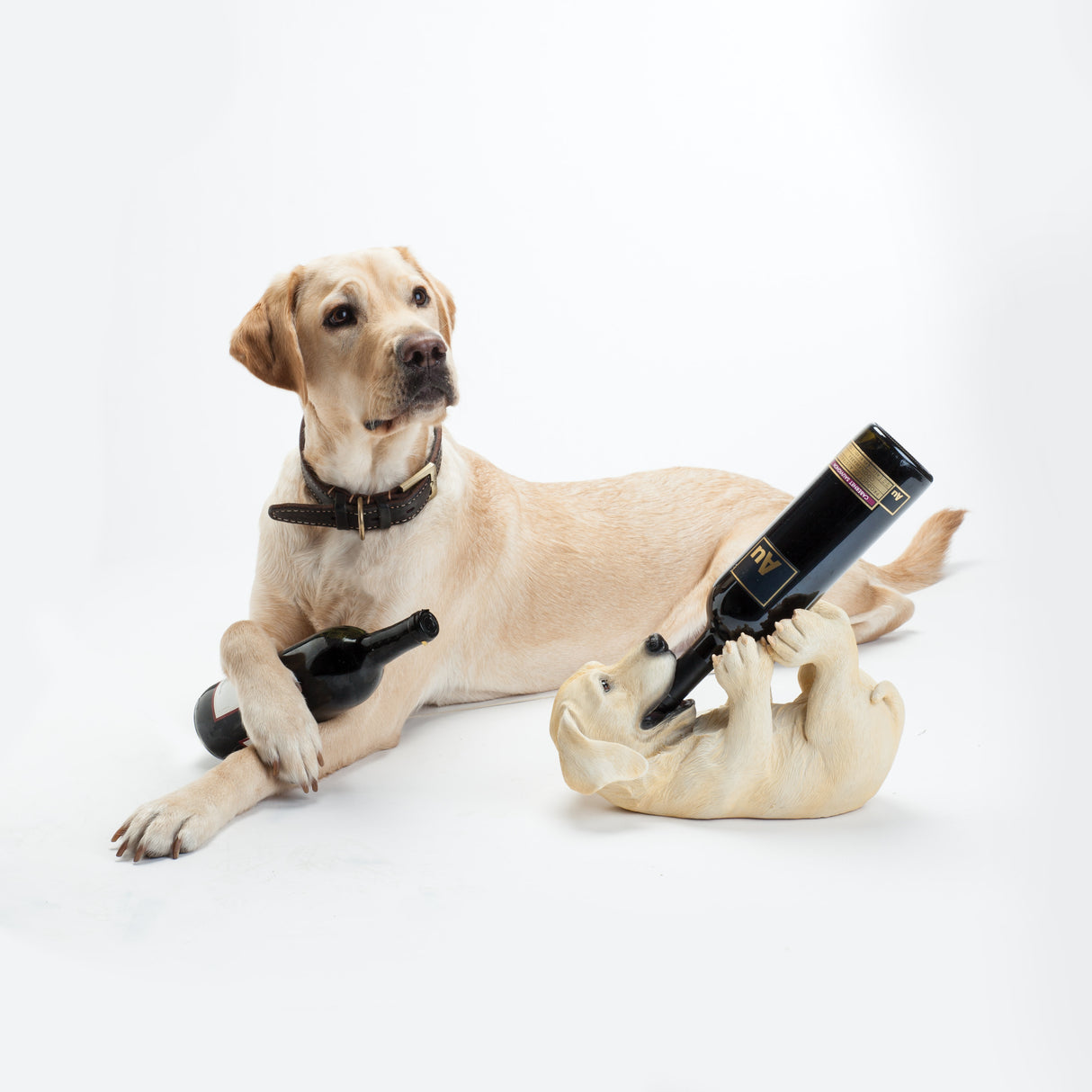 Playful Pup Bottle Holder