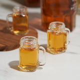 Mason Jar 1 oz Shot Glasses, Set of 6