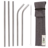 Stainless Steel Straws with Travel Case, Set of 5