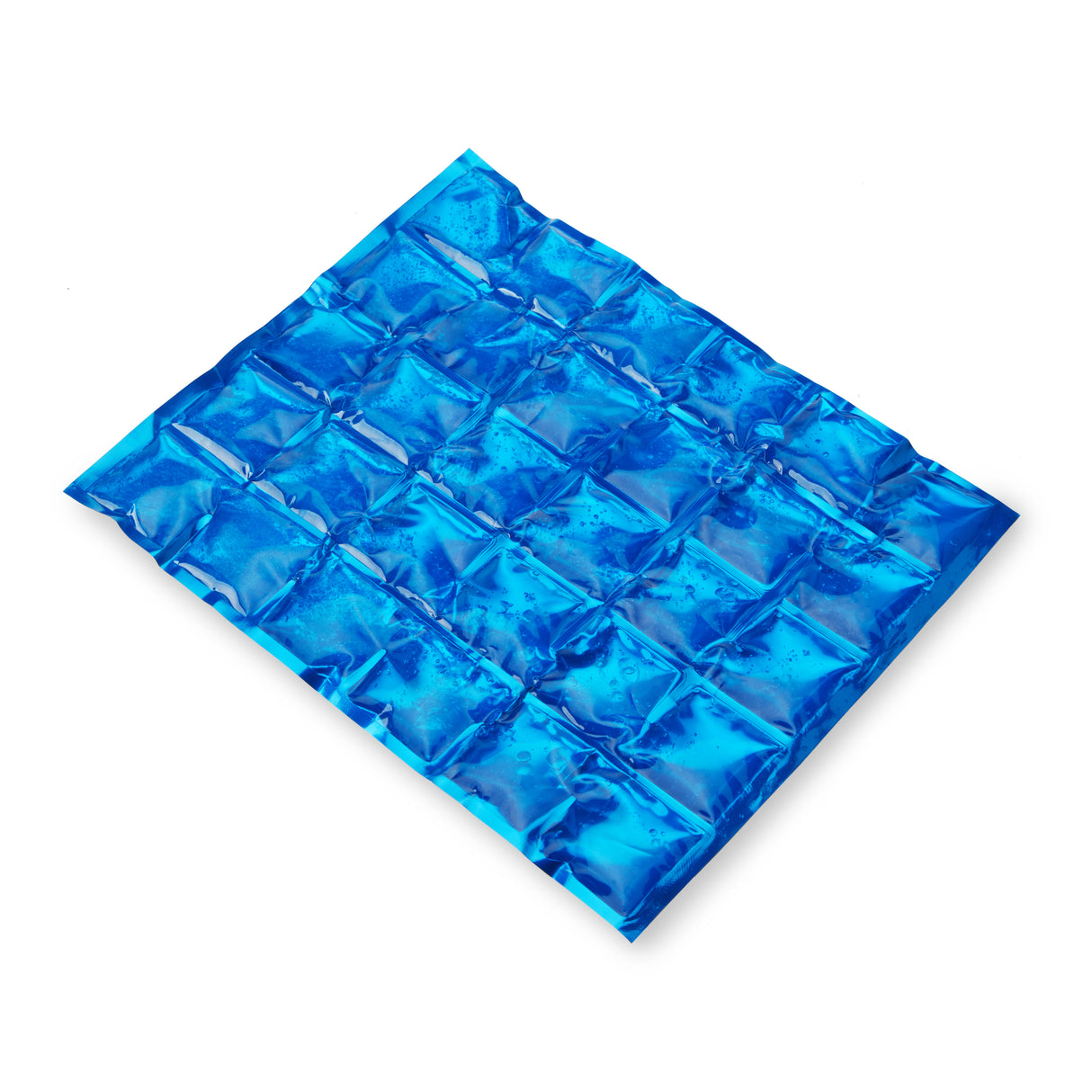 Reusable Gel Ice Pack