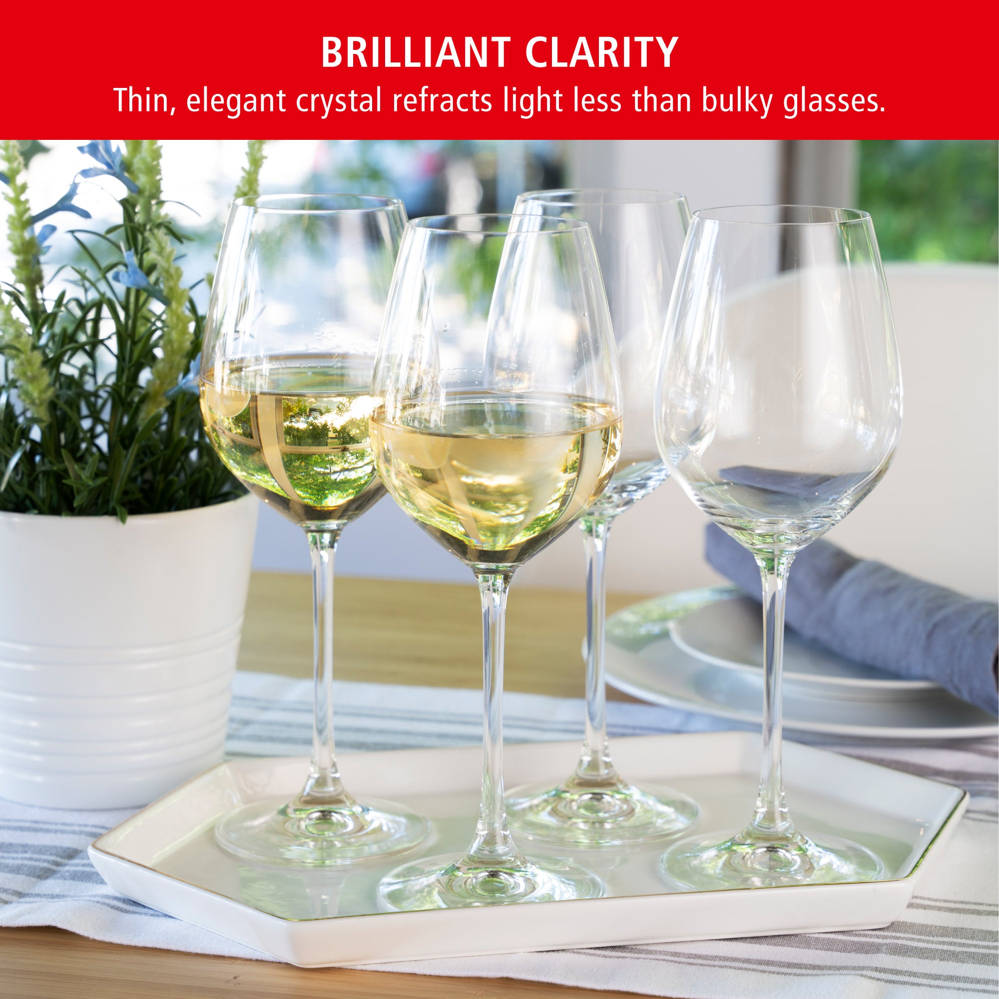 Salute White Wine Glass, Set of 4 - Thumbnail 5