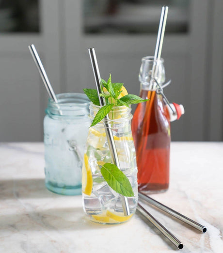 Stainless Steel Straws, Set of 3
