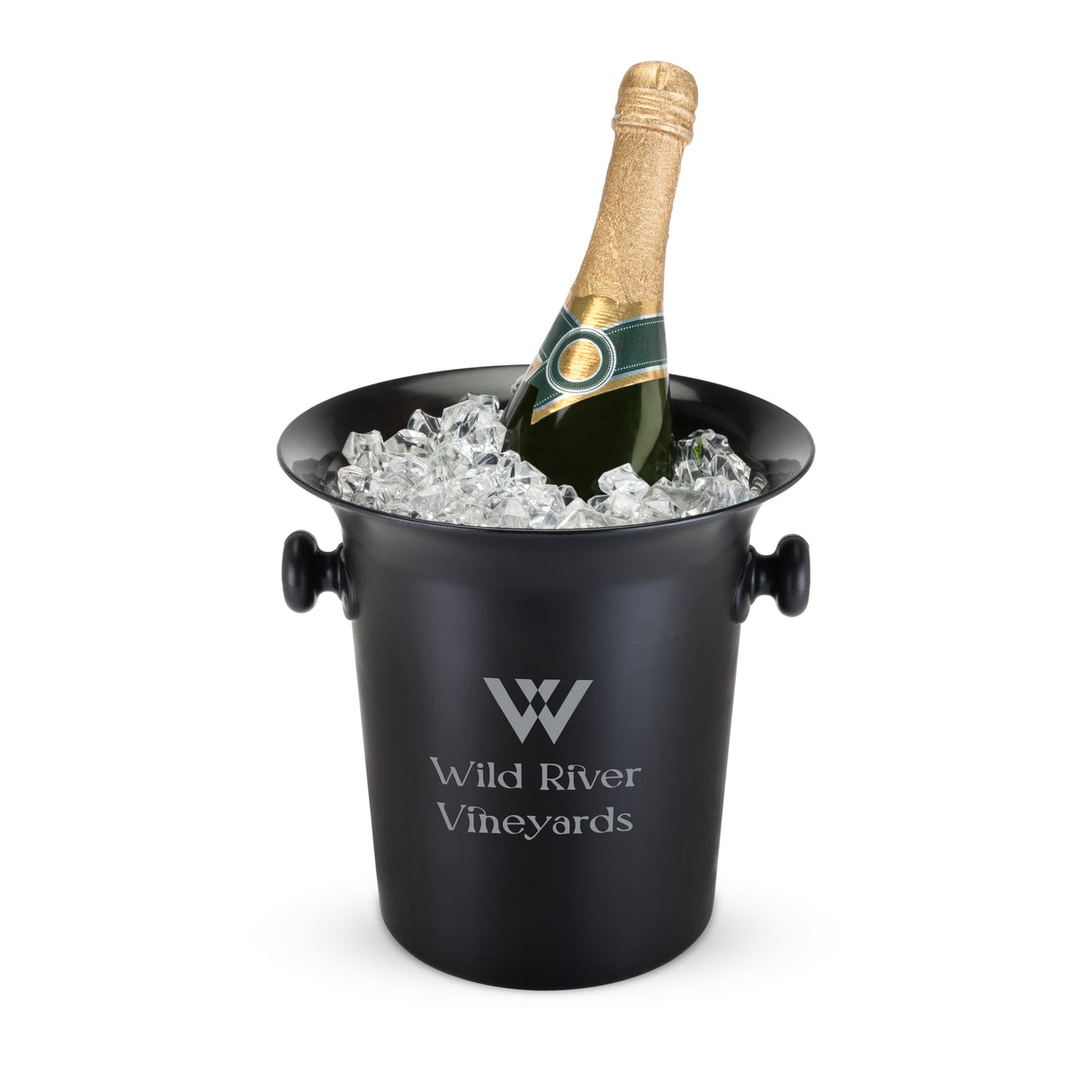 Plastic Wine Bottle Ice Bucket in Black