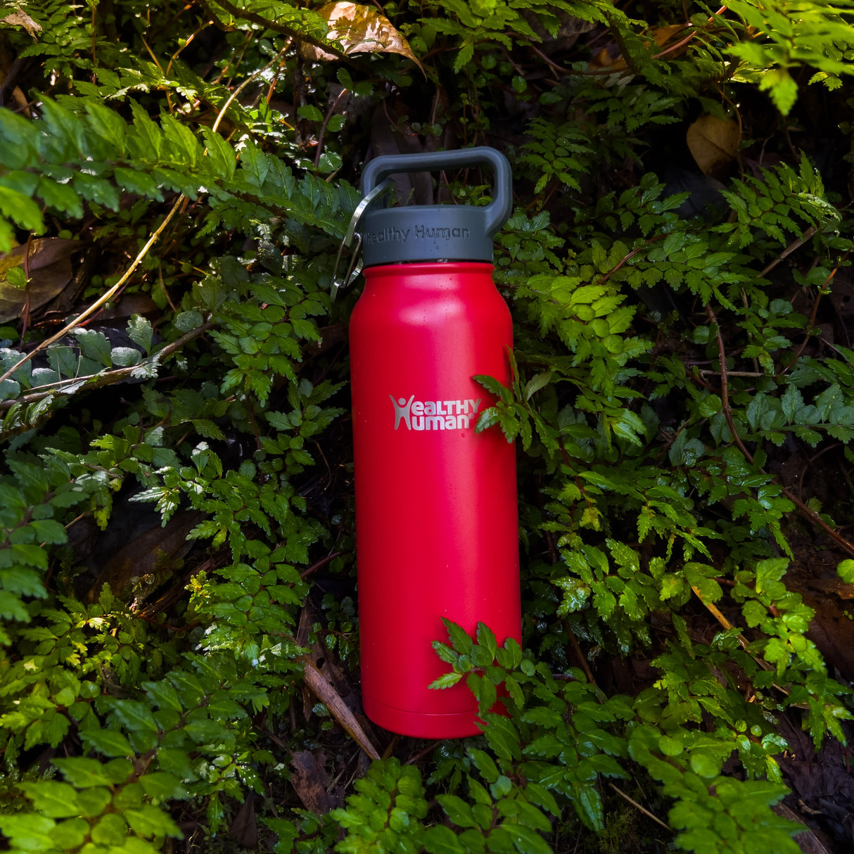 The Stein Water Bottle in Red Hot, 21 oz