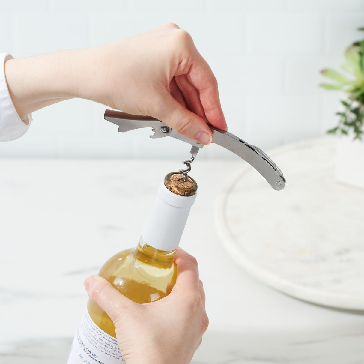 Curve Waiter's Corkscrew in Stainless Steel