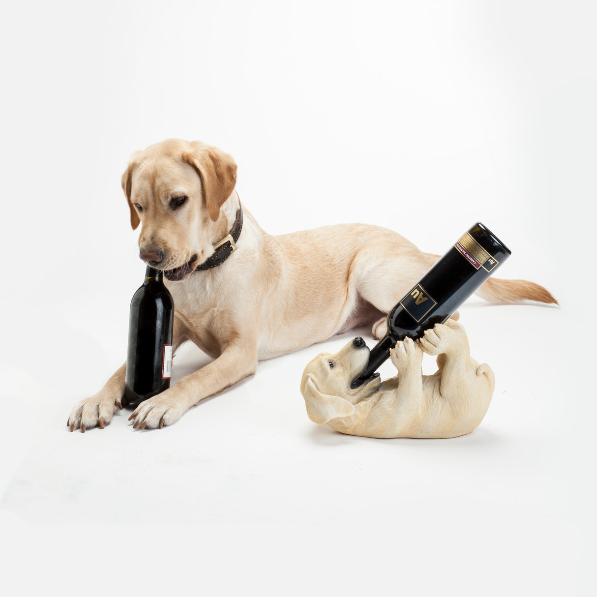 Playful Pup Bottle Holder