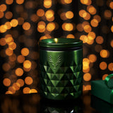 Paragon Stainless Steel Rocks Tumbler in Satin Green