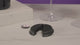 Pro Foil Cutter