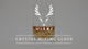 Viski Professional Crystal Mixing Glass