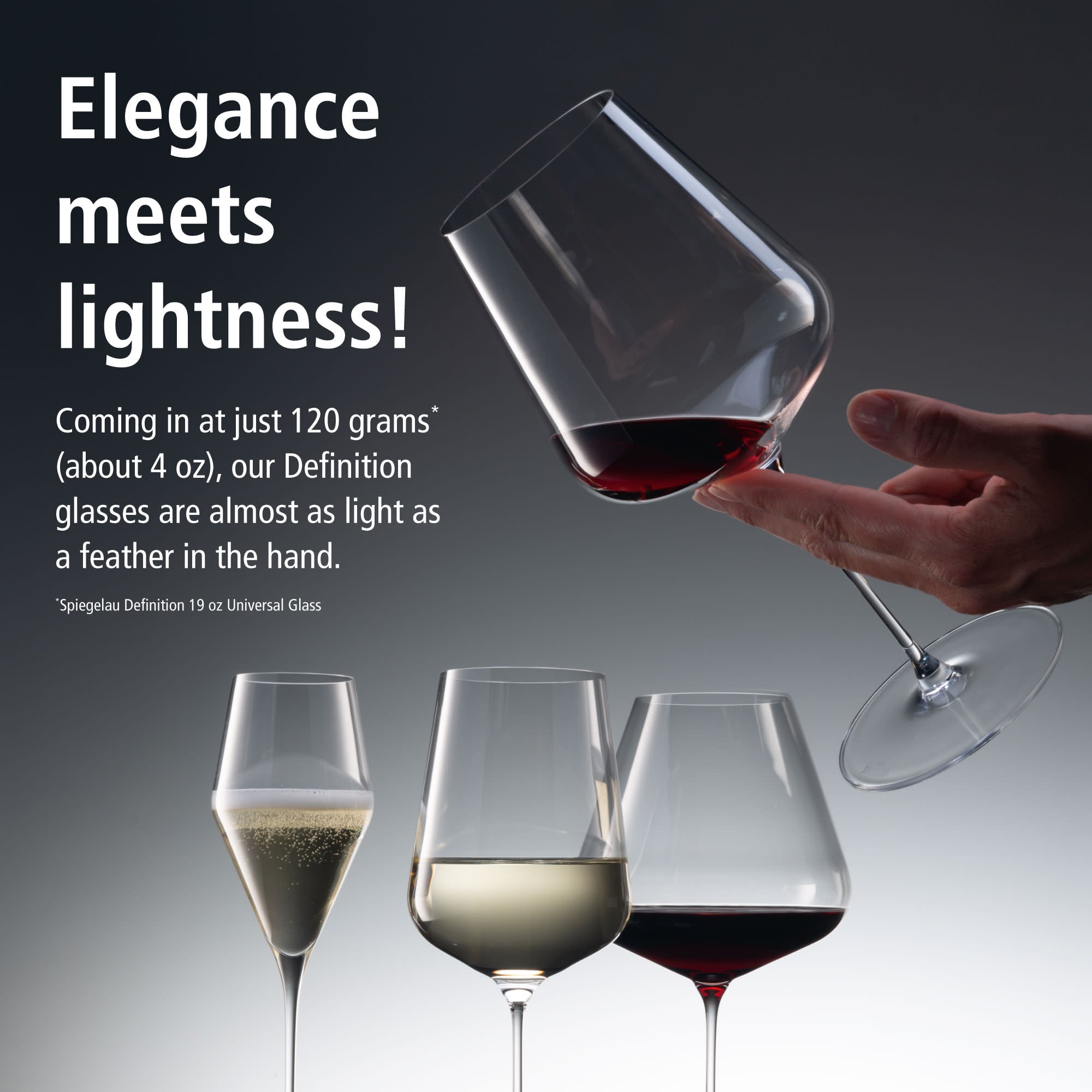 Spiegelau Definition Wine Glass - Thumbnail 5