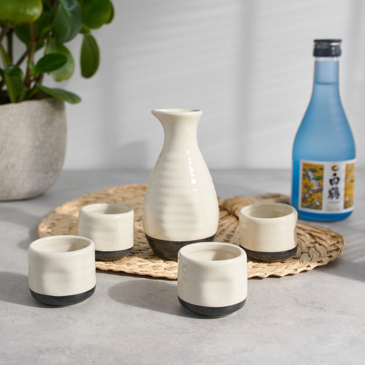 Fervor 5-Piece Hand Painted Ceramic Sake Set