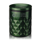 Paragon Stainless Steel Rocks Tumbler in Satin Green