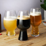 Craft Beer Tasting Glass Kit, Set of 3