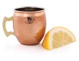 Moscow Mule Mug Shot Glasses, Set of 2