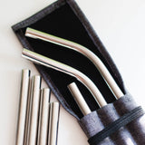 Stainless Steel Straws with Travel Case, Set of 5