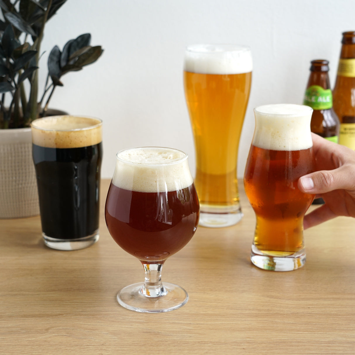 Craft Beer Tasting Set, Set of 4