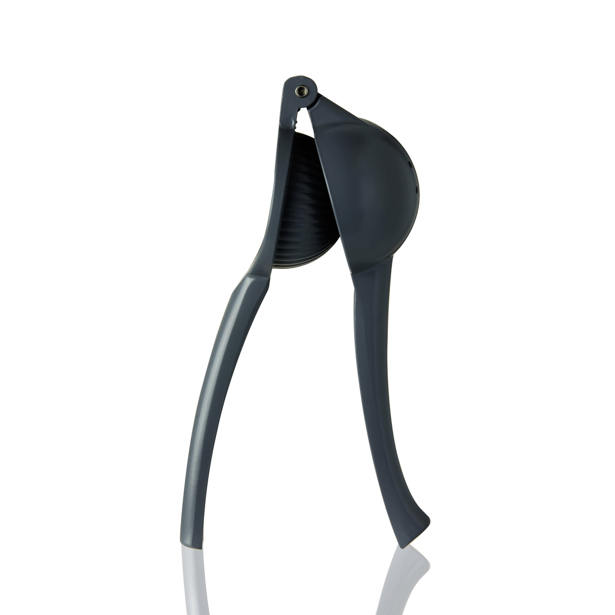 Citrus Press in Gray