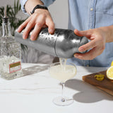 Harrison Parisian Cocktail Shaker in Stainless Steel