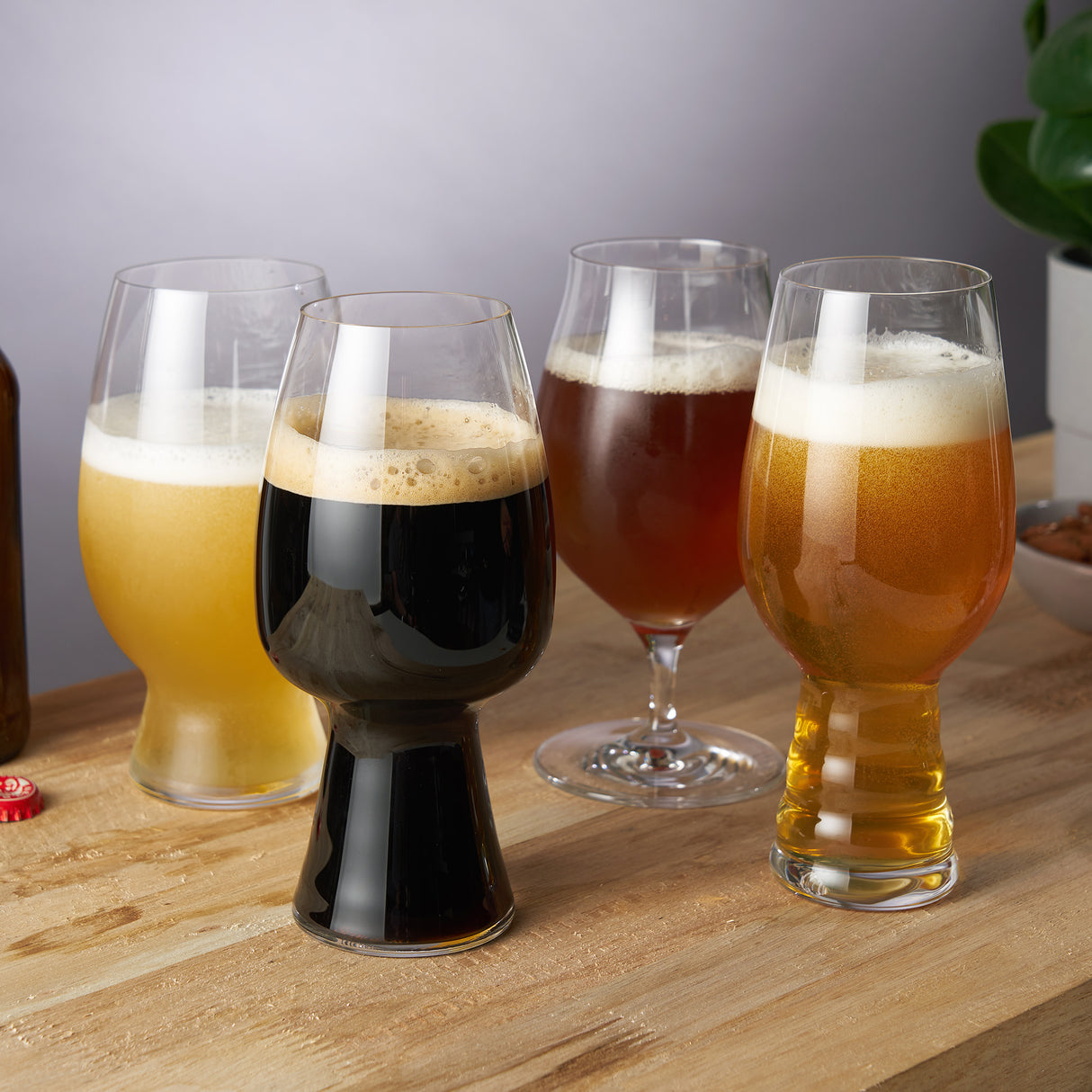 Craft Beer Tasting Glass Kit, Set of 4